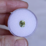 1.27CT PRECISION CUT OVAL MONTANA SAPPHIRE, OLIVE GREEN AND YELLOW, 6.89X5.84X4.36MM