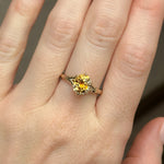 2.35ct Parti Montana Sapphire Orange White Champagne Low Profile Six Prong Split Shank Solitaire in 14k Yellow Gold