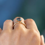 2.07ct Round Ocean Blue Montana Sapphire Evergreen Carved 4 Prong Solitaire in 14k Yellow Gold