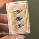 1.47ct Round Teal Montana Sapphire Evergreen Carved 4 Prong Solitaire in 14k Yellow Gold