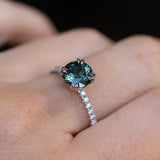 Double Claw Prong Solitaire with French Set Diamonds, Stackable - Setting