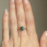 2.06ct Oval Precision Cut Teal Blue Green Oval Montana Sapphire Evergreen Carved 4 Prong Solitaire in 14k Yellow Gold