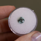 48 HOUR CUSTOMER HOLD - 1.73CT ROUND MONTANA SAPPHIRE, SEAFOAM GREEN, 7X4.8MM, UNTREATED