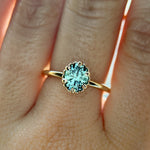 1.20ct Oval Untreated Montana Sapphire Scallop Cup Solitaire in 14k Yellow Gold