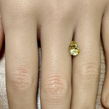 1.46CT PEAR PRECISION CUT MONTANA SAPPHIRE, BICOLOR YELLOW WHITE, 8.4X6.1MM