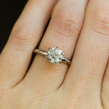 6 Prong Evergreen Solitaire - Setting