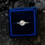 6 Prong Evergreen Solitaire - Setting in ring box