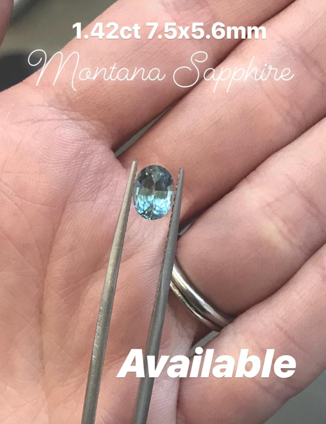 1.42ct Montana Sapphire